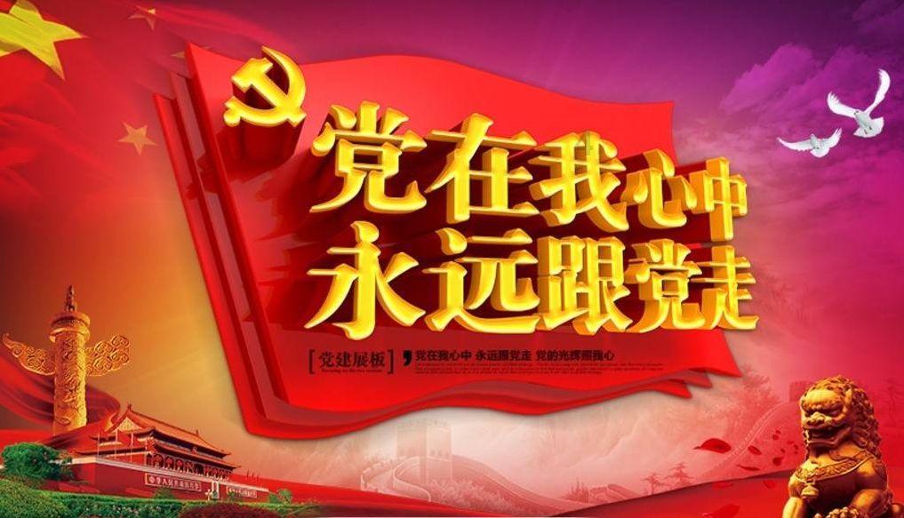 完美的收藏品